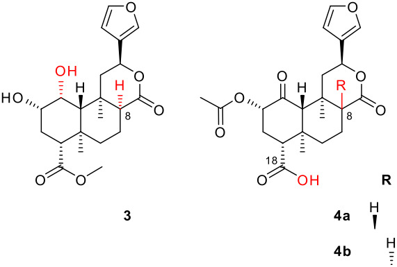 graphic file with name Beilstein_J_Org_Chem-03-01-i002.jpg