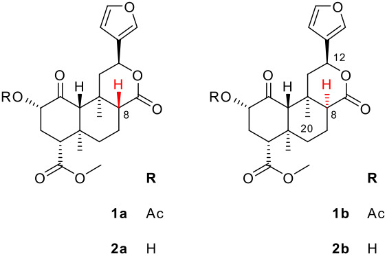 graphic file with name Beilstein_J_Org_Chem-03-01-i001.jpg