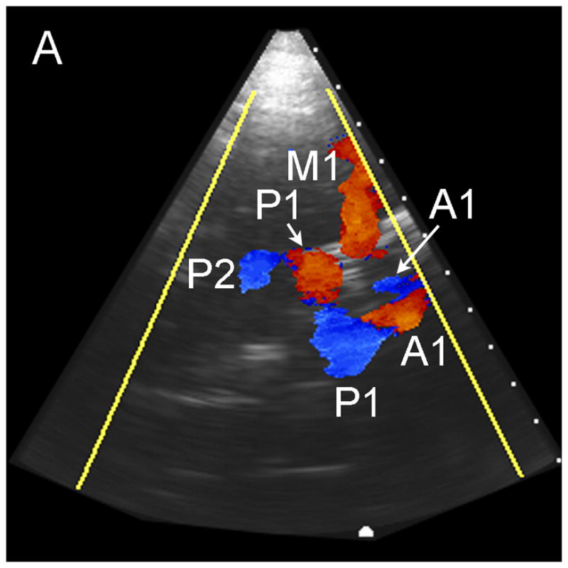 Fig. 3