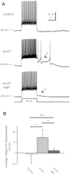 Fig. 5.