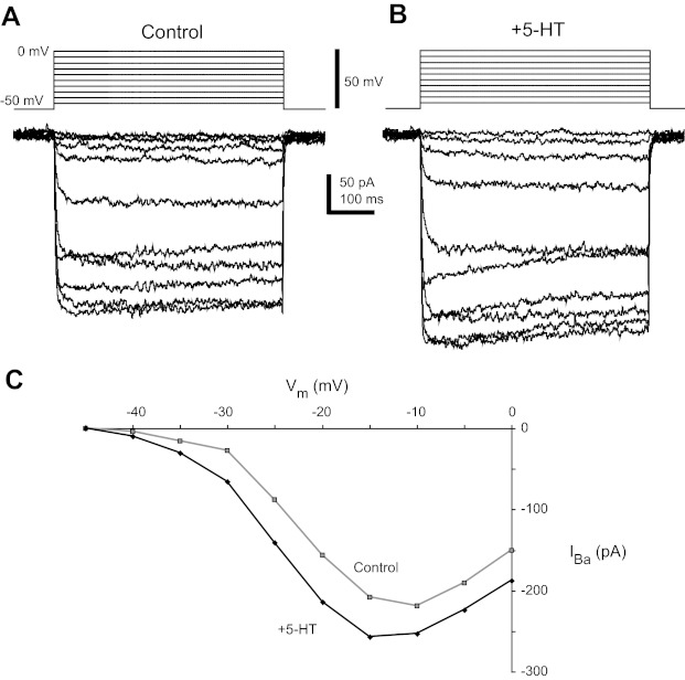 Fig. 6.