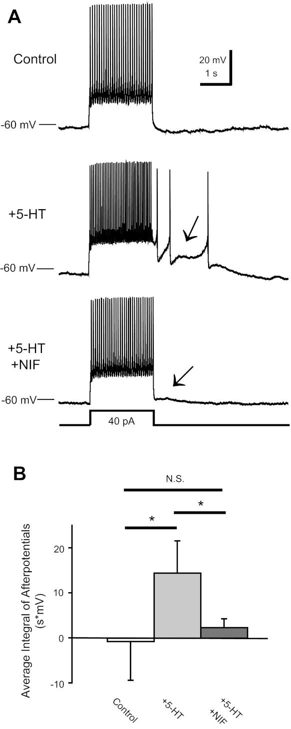 Fig. 5.