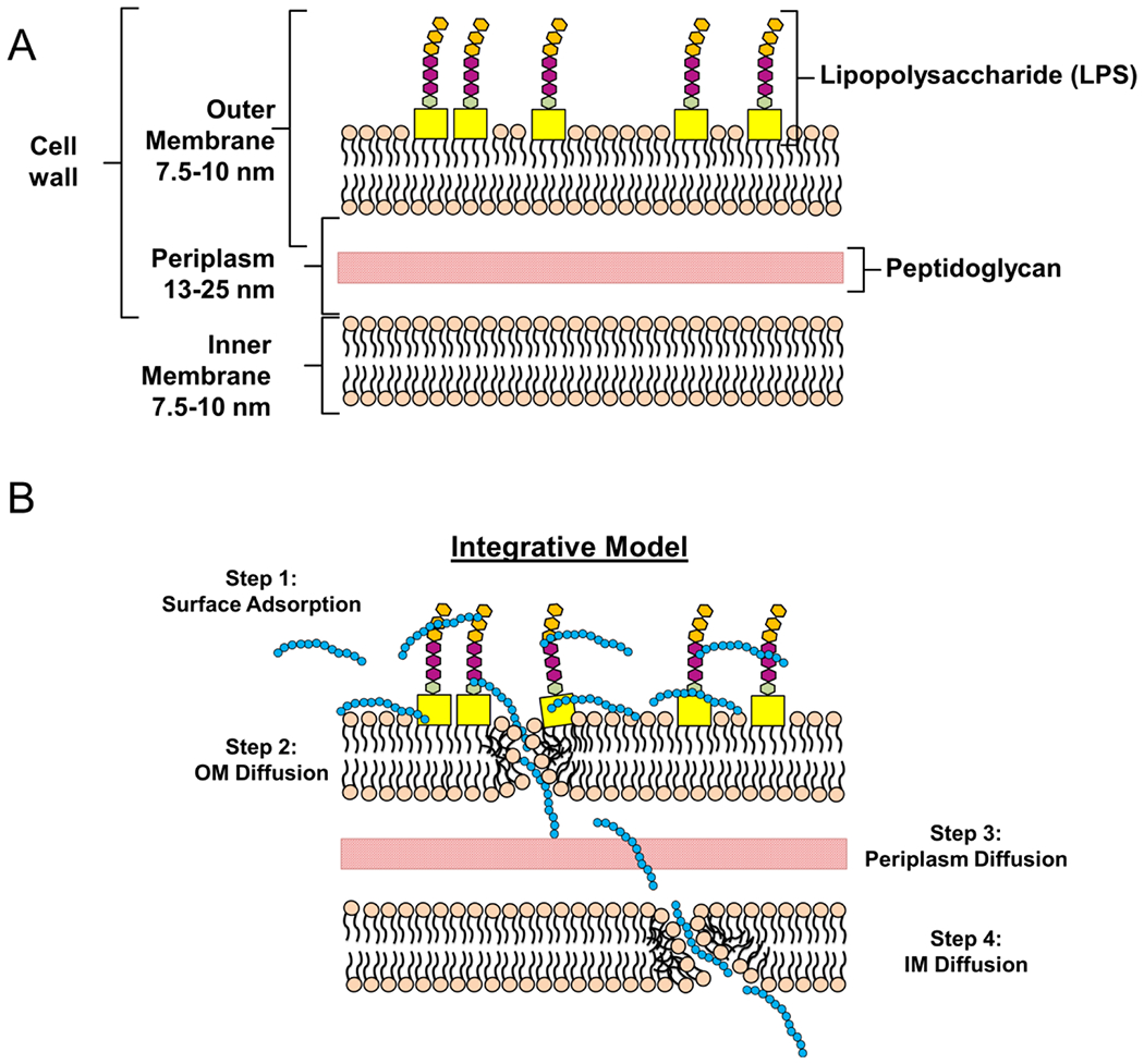 Scheme 2.