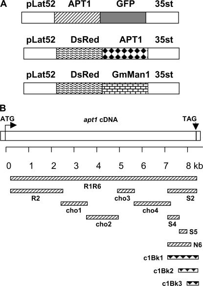 Figure 9.