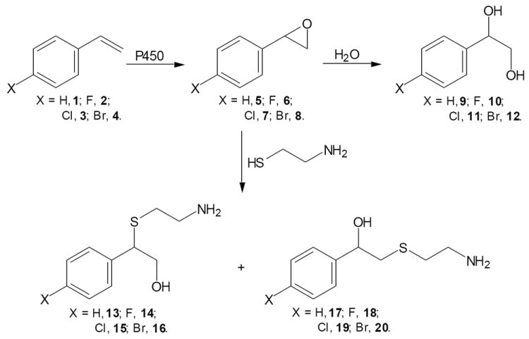 Scheme 1