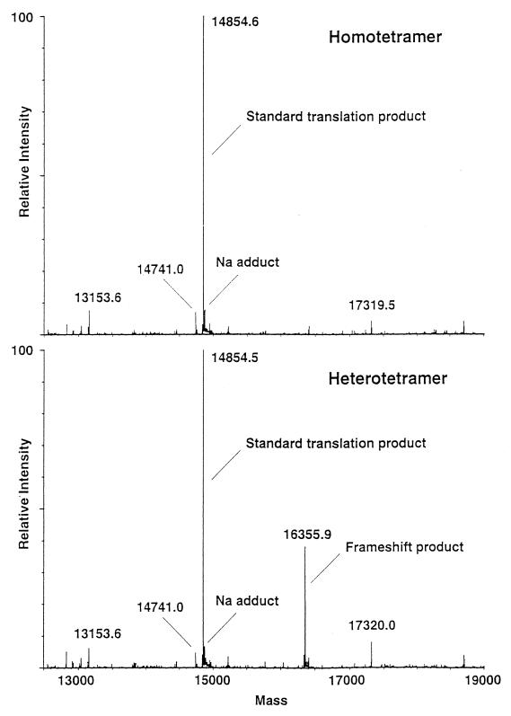 FIG. 6