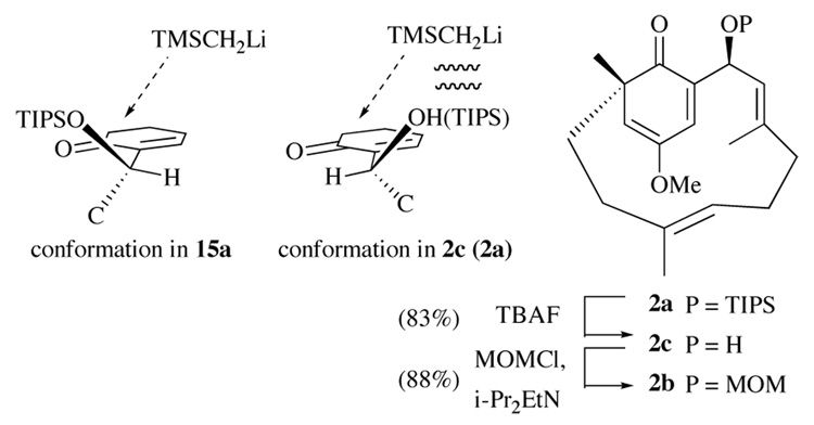 Scheme 4