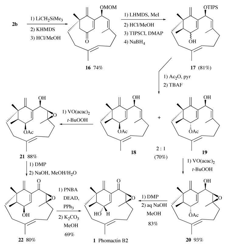 Scheme 5