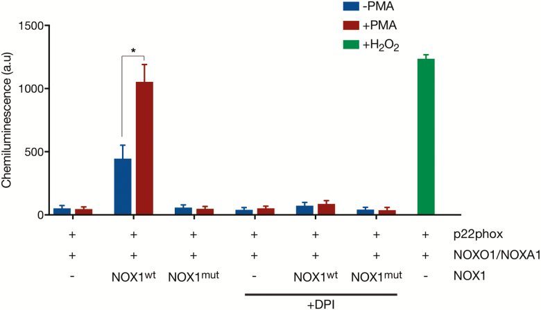 FIGURE 2.