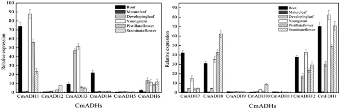 FIGURE 4