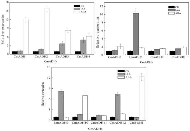 FIGURE 6