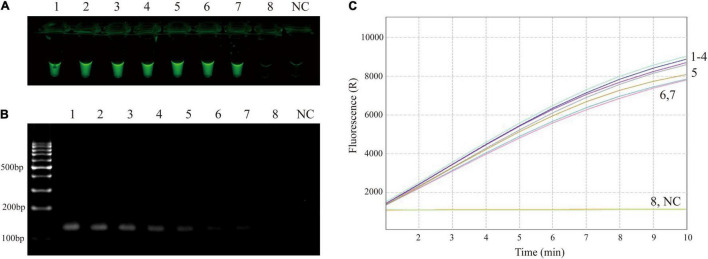 FIGURE 3