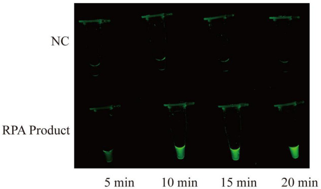 FIGURE 2