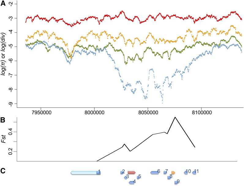 Figure 4 