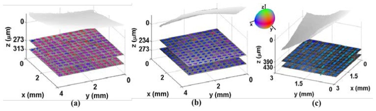 Fig. 3