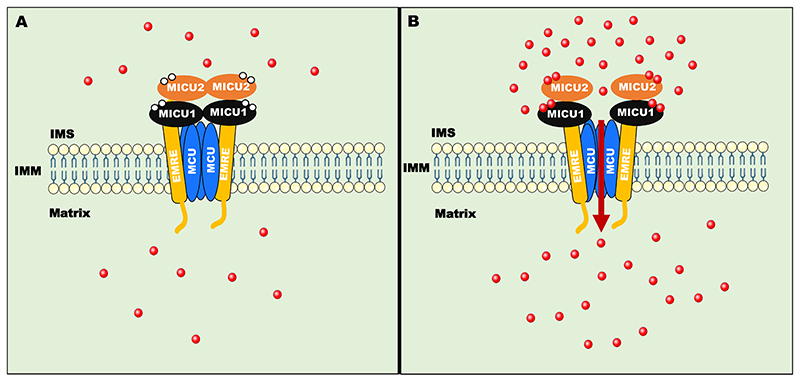 Fig. 3