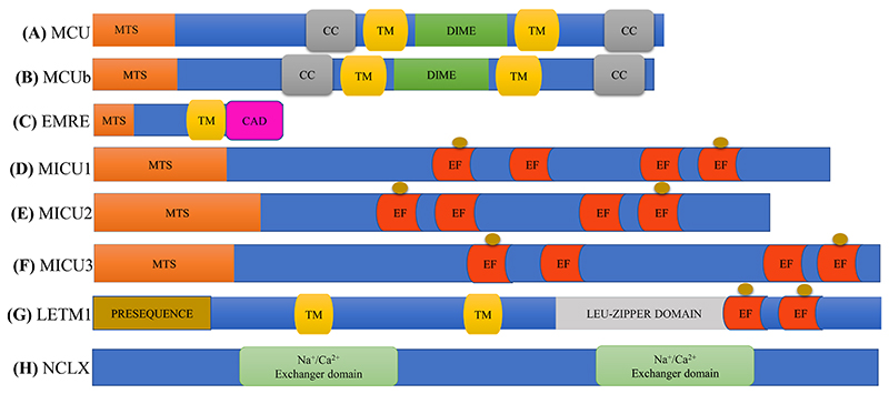 Fig. 2