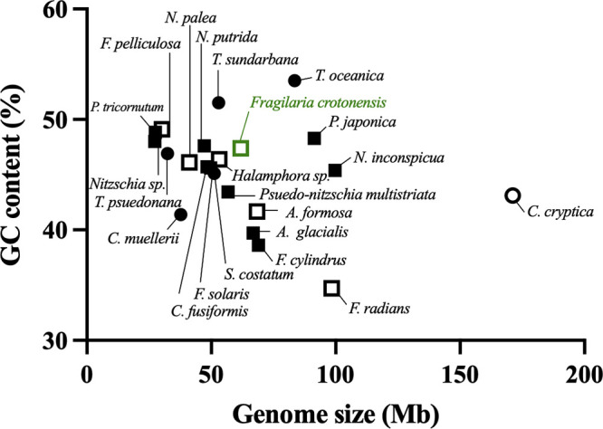 FIG 1