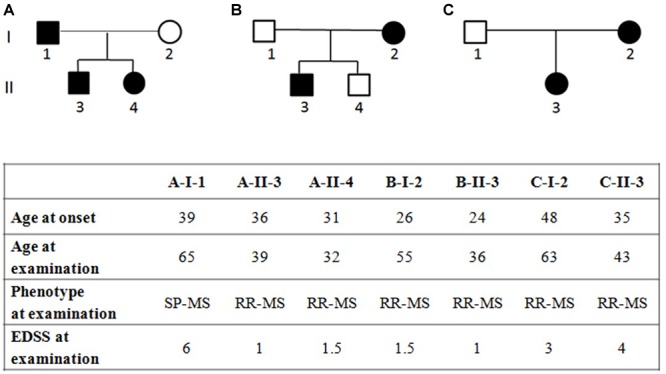 FIGURE 1