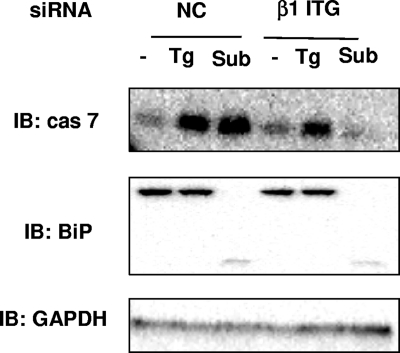 FIG. 5.