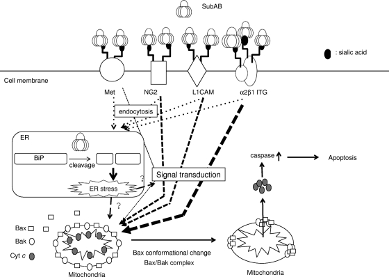 FIG. 8.