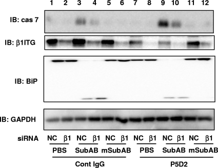 FIG. 6.