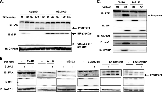 FIG. 7.