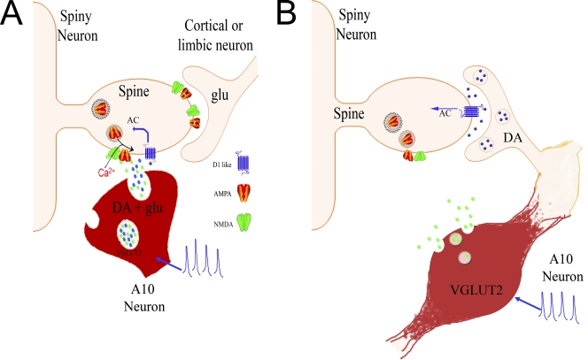 Figure 1.