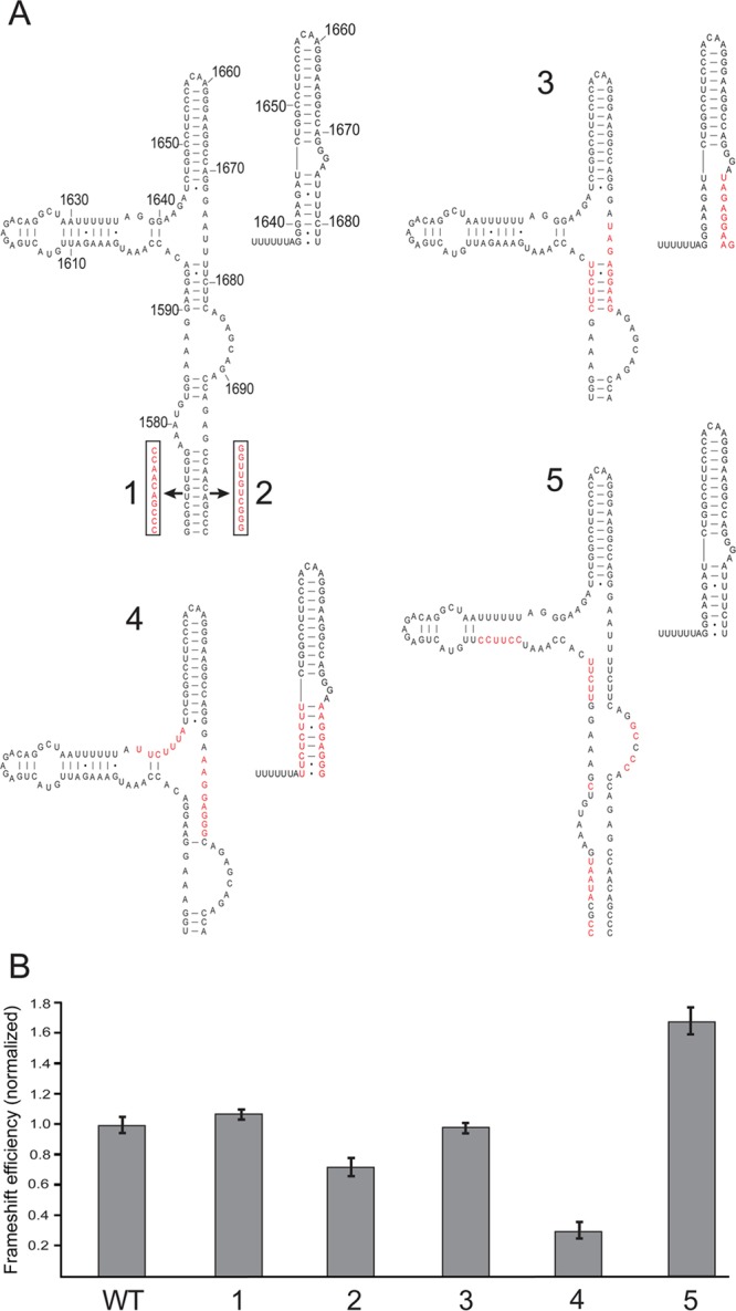 Figure 5