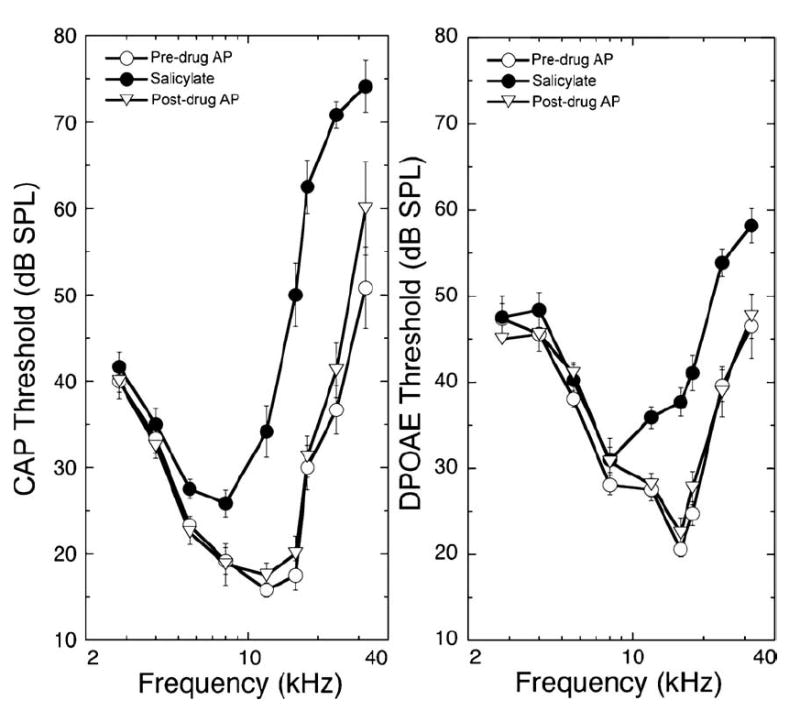 Fig. 10