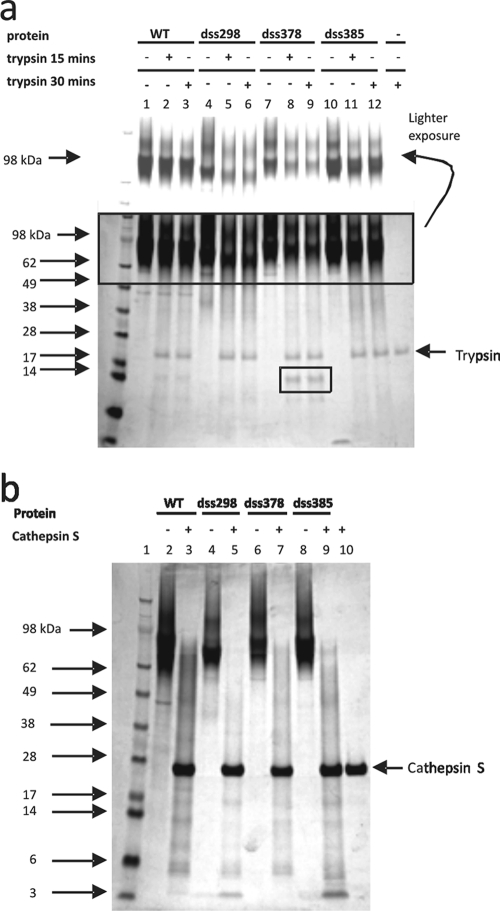 FIG. 2.