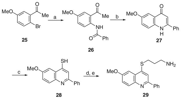 Scheme 5