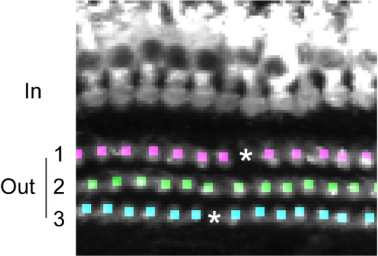 Appendix 2—figure 5.