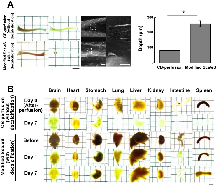 Figure 1—figure supplement 2.