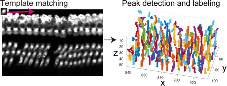 Appendix 2—figure 4.