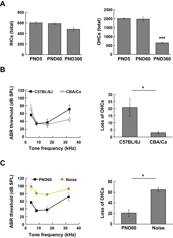 Figure 2—figure supplement 1.