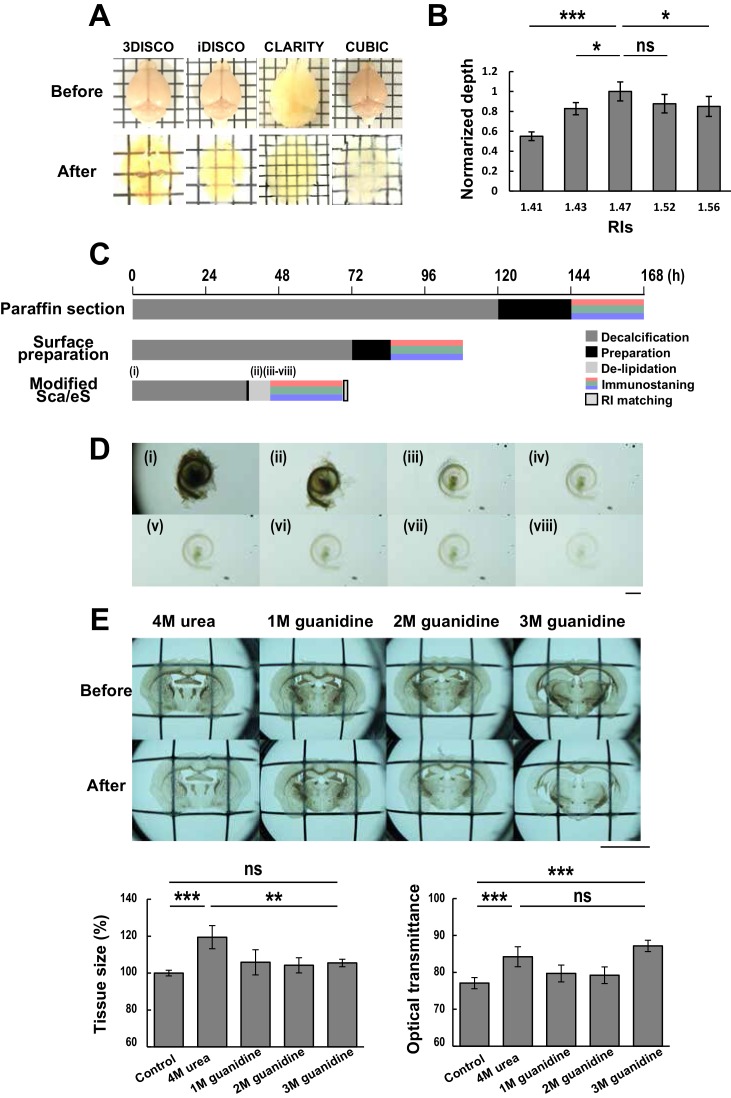 Figure 1—figure supplement 1.