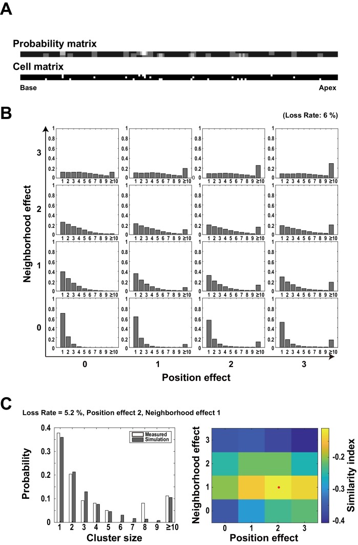 Figure 4—figure supplement 1.