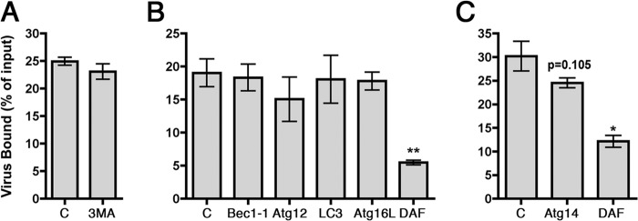 FIG 6