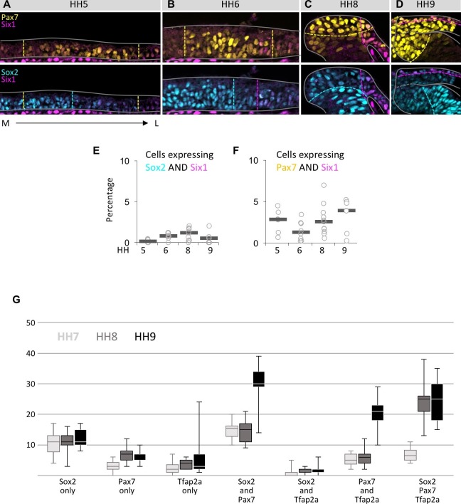 Figure 2—figure supplement 1.