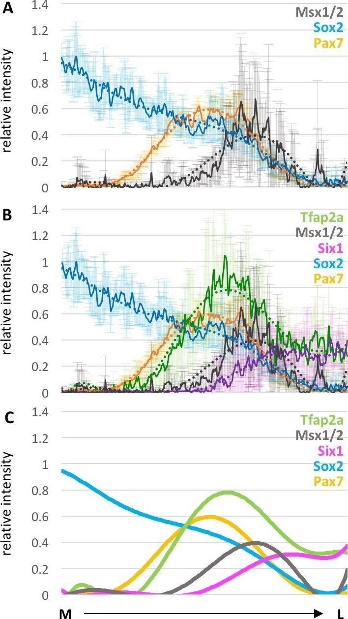 Figure 3—figure supplement 1.