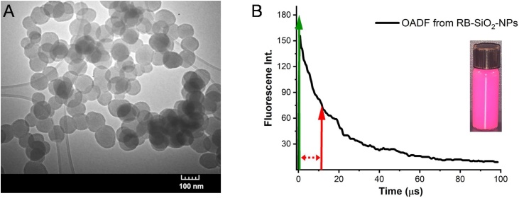 Fig. 2