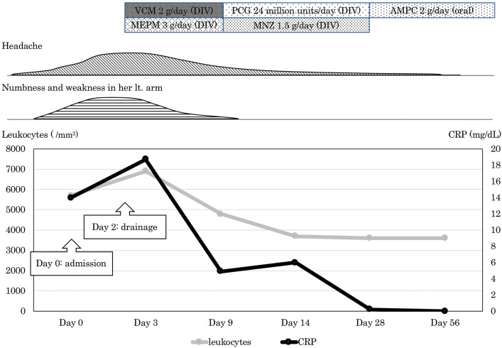 Fig. 3