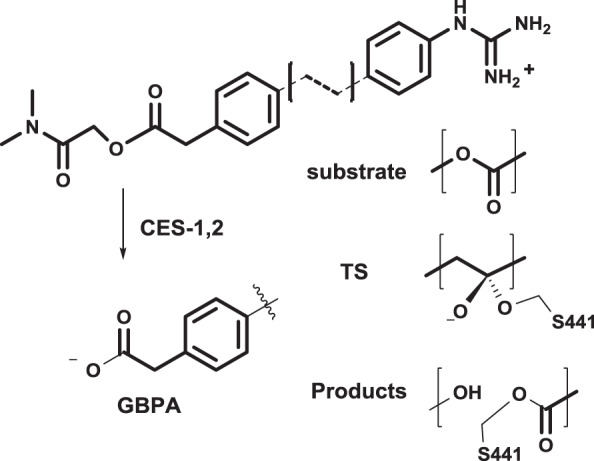 Fig. 8