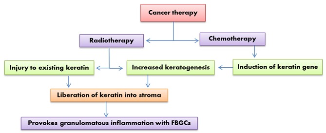 Flowchart 1: Possible hypotheses on FBGC generation during treatment of SCC8, 13,14