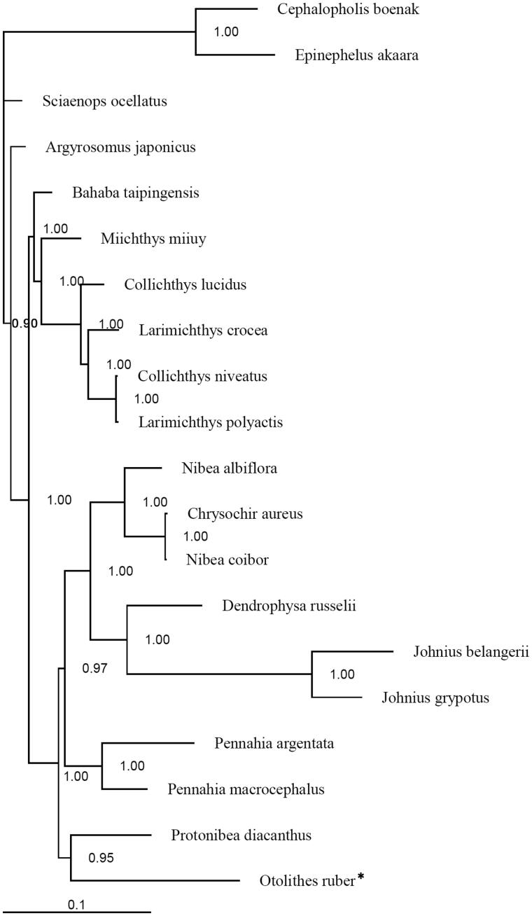 Figure 1.