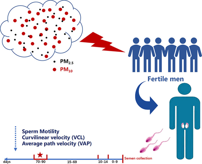 graphic file with name 12940_2022_831_Figa_HTML.jpg