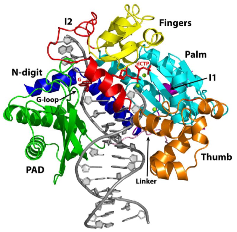 Fig. 1