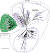 Fig 5