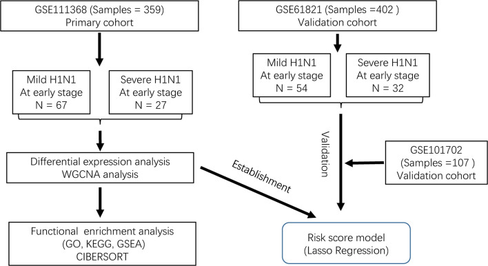 Figure 1